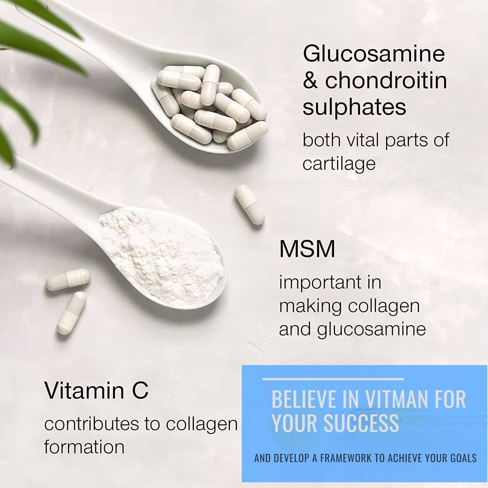 Glucosamine Chondroitin MSM & Vitamin C Joint & Bone Care Relief