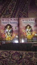 Wisdom of The Hidden Realms Oracle Deck-Original first edition-Brand New