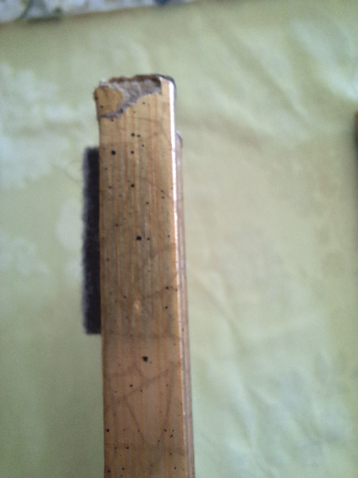 Picture 9 of 9