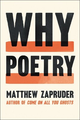 Why Poetry: An Impassioned Call for the Necessity of Reading Poems A Guide...