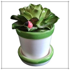 Cactus Piante grasse in ceramica finte da interno artificiale soprammobili