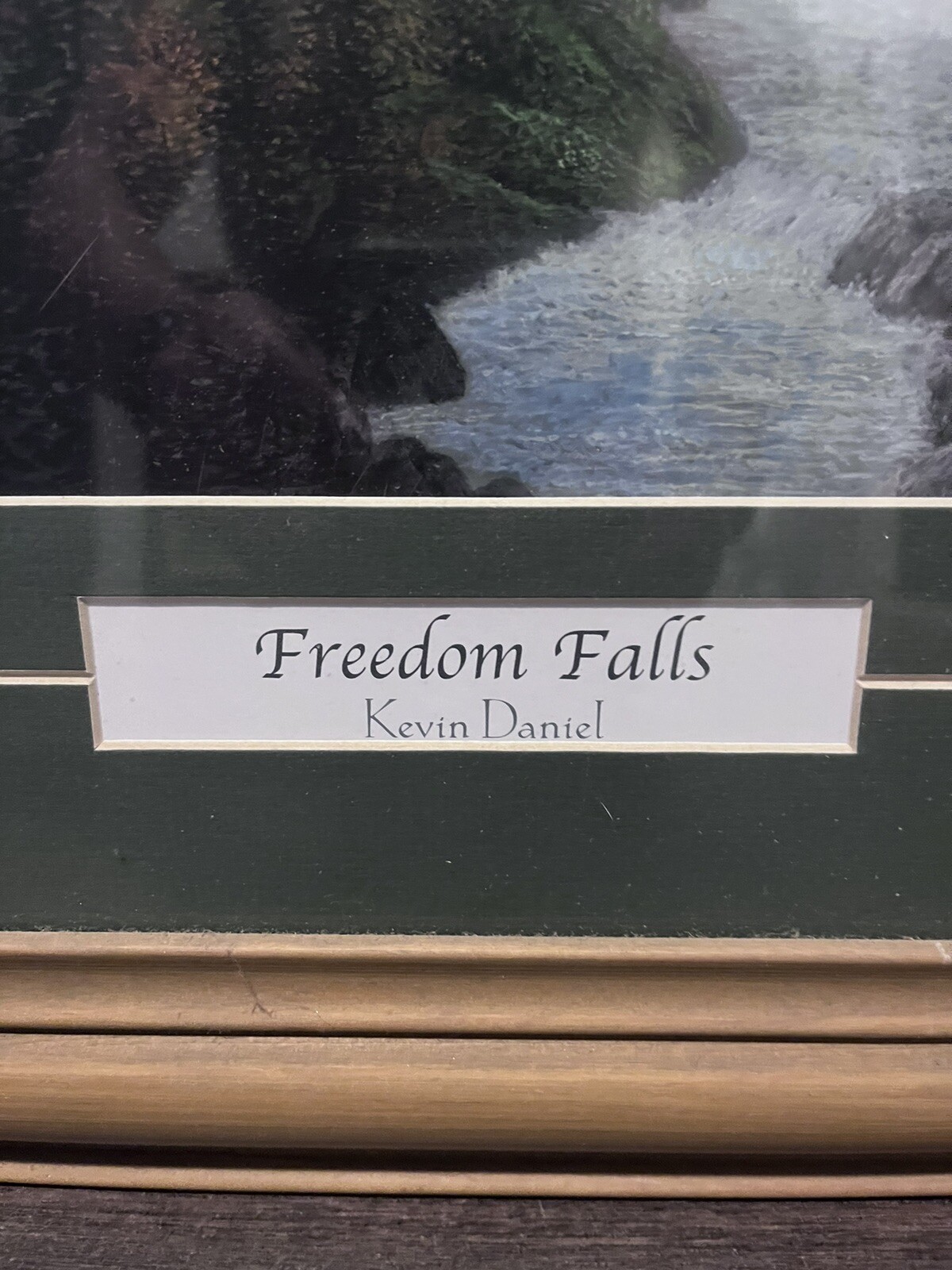 NWF Limited Edition Painting-“Freedom Falls” By Kevin Daniel