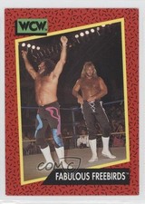 1991 Impel WCW Fabulous Freebirds Michael Hayes Jimmy Garvin #127 0a3