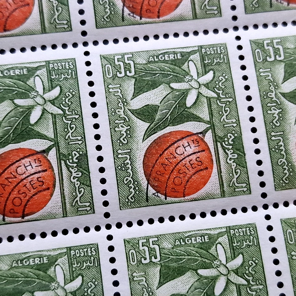 Algeria 1963 - MNH - 200 Stamps - 4 Sheets - Full 50 Sets - Image 2 of 4