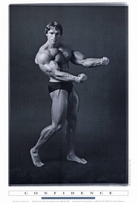 Arnold Schwarzenegger Movie Poster Print (27 x 40) 40''L x 27''W, Multi