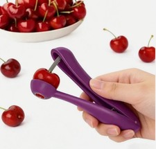 Fruit Destoner Olive Pip Remover All Varieties of Cherries Olives
