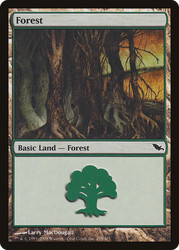 Forest (298) Shadowmoor SHM Magic MTG