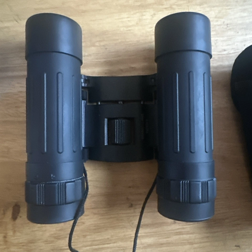 BSA Optics 10x25 Compact Binoculars with Carrying Case - Image 3 of 4