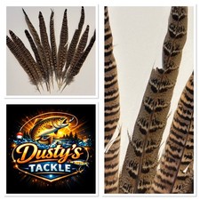 Hen Pheasant Tail Feathers 22-33cm DAMAGED 10 or 20 Fly Tying BUY 4 GET 1 FREE