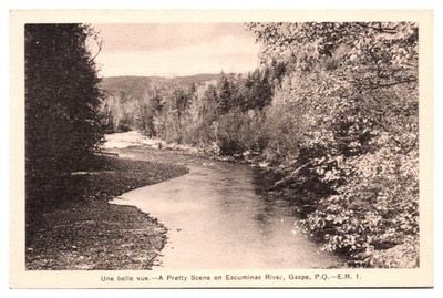 Vintage Escuminac River Gaspe PQ Postcard H.V. Henderson Canada Nature View