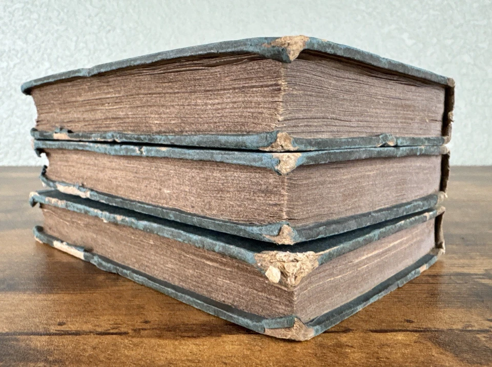 LA PRAIRIE, A TALE 1827 1ST FRENCH ED. BY JAMES FENIMORE COOPER ORIG. BOARDS+MAP - Image 4 of 4