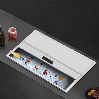 Drop-in Ice Bin Kitchens Ice Chest Juice Ice Bin Not Easily Deformed Easy Clean