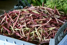 OLD FASHION PURPLE HULL PEAS 150 SEEDS 1oz