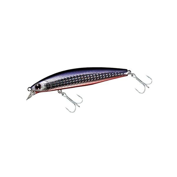 Daiwa Shoreline Shiner Z Set Upper 97S Lure Official Collectible Exclusive