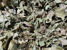 4 ONZAS HOJAS DE GUAYABA ORGANICAS SECAS-ORGANIC GUAVA LEAVES DRY 4 OUNCES
