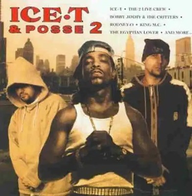 Ice T - Ice T & Posse 2