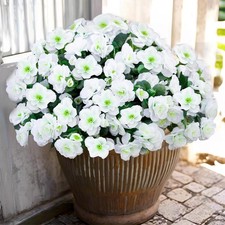 Artificial Flowers Outdoor UV Resistant Fake Silk White 6 Pcs