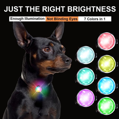 2Stk Hunde Leuchtanhänger Leuchthalsband Led Hundehalsband Blinklicht Leuchthund - Bild 2 von 9