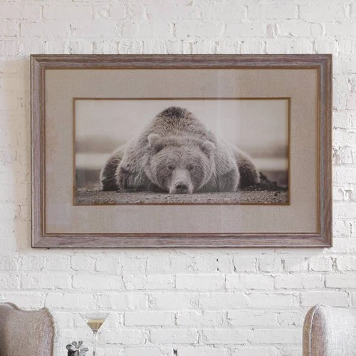 Deep Sleep 50"W Grizzly Photo Framed Wall Art Print - Picture 1 of 4