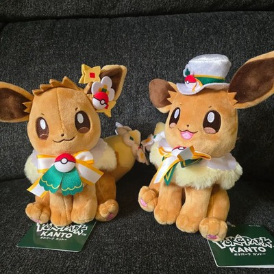 Pokepark kanto 2026 Eevee Plush Toy Set of 2 Carnival costume Free shipping JP