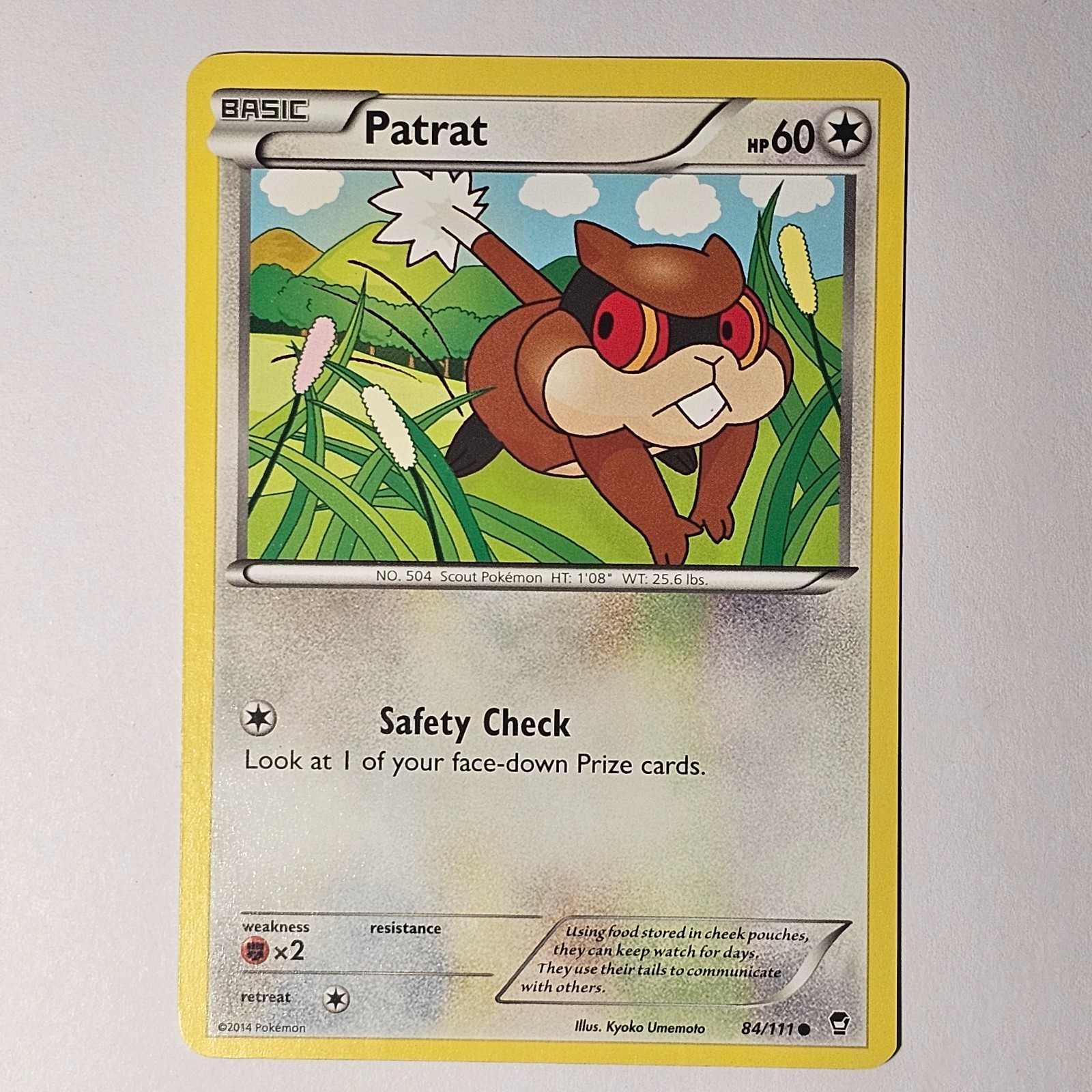 Patrat - 84/111 - XY Furious Fists Pokemon 2014 / NM