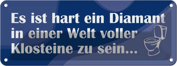 Blechschild 10X27 Cm Diamant Unter Klosteinen Dekoration Spruch Zitat Deko Gesch-image