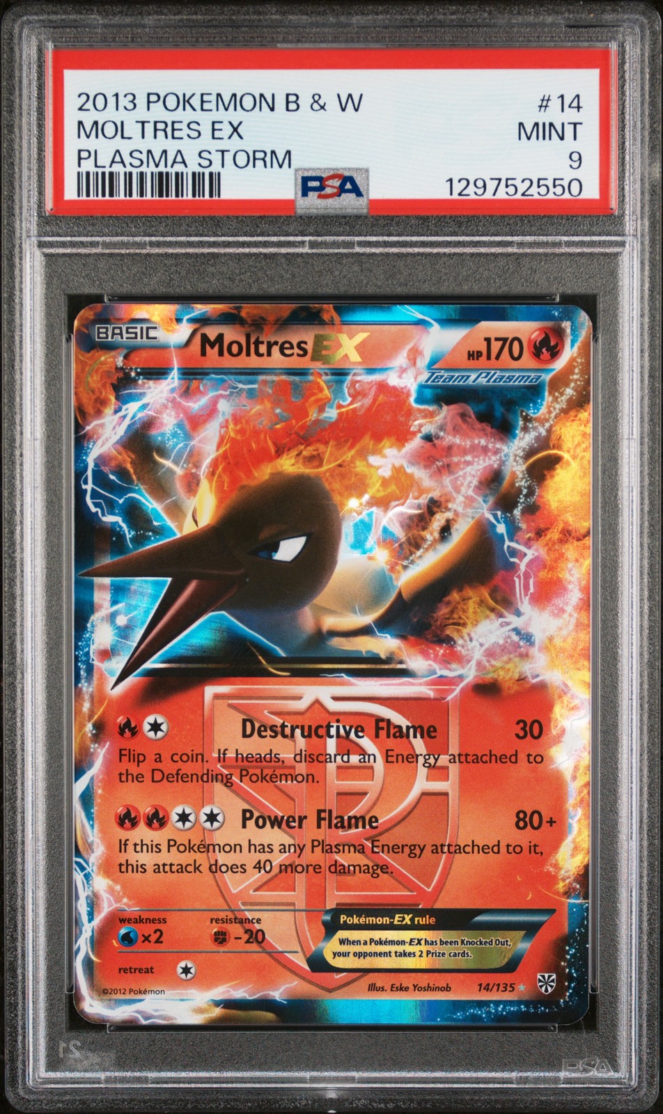 Moltres EX #14