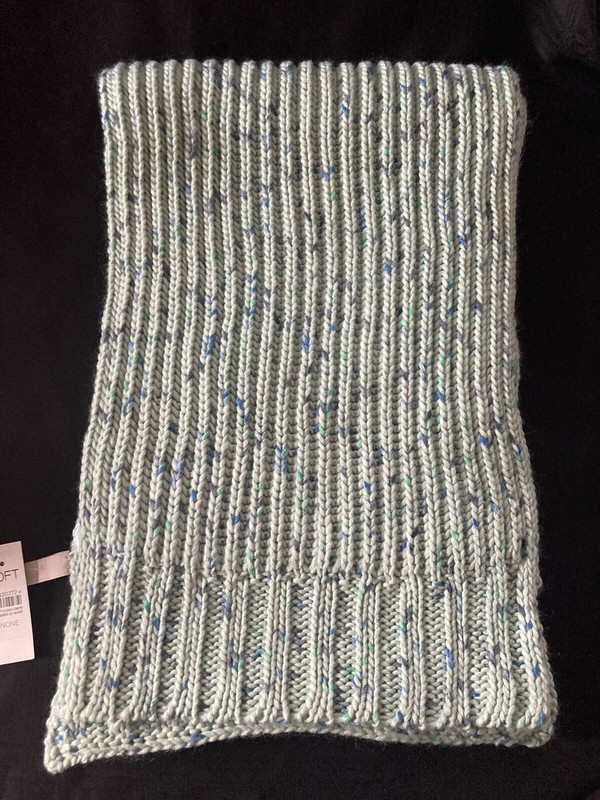 Loft Mint Green 72” Crocheted Scarf NWT