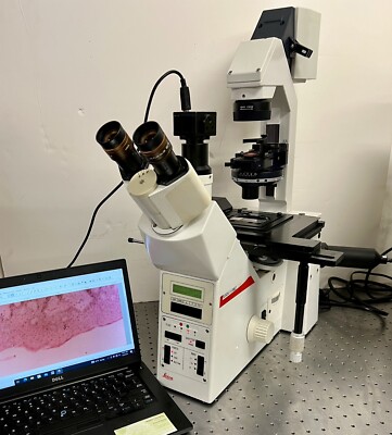 Leica DMIRBE 2 Inverted Nomarski DIC + Fluorescence Phase Microscope