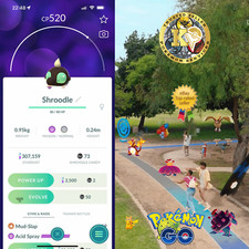 Pokémon Shroodle - P T C 20k Stardusts- Pls ...