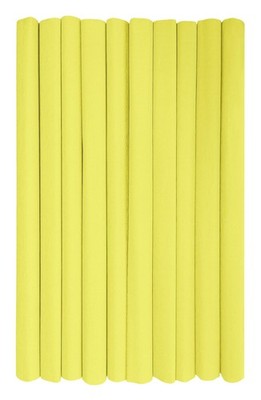 Crepe Paper Rolls for Kids, DIY and Decorations  Pack of 10 Reels 50cm x 200...