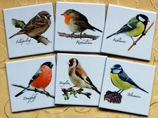 6St. 10x10 Küchenfliesen Vogeldekor Blaumeise Feldsperling Kohlmeise Stieglitz