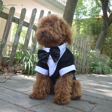 Pet Costume Dog Suit Formal Tuxedo with Black Bow Tie for Small Dogs Toy Pood...