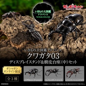 Diversity of Life on Earth | eBay