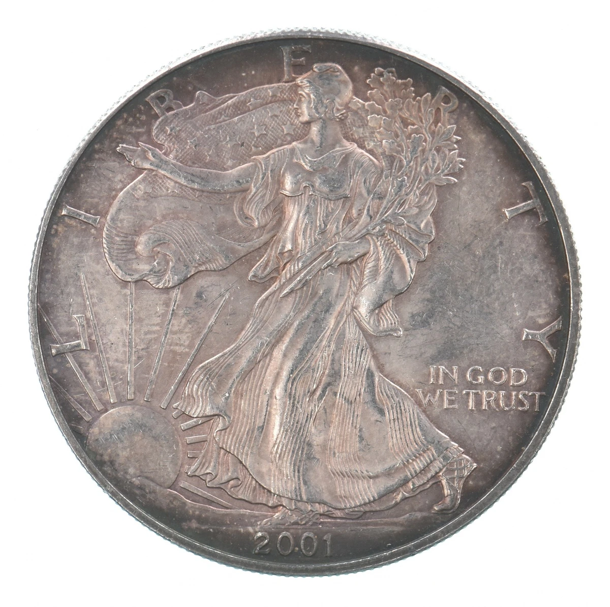 American Eagle 2001 Business Silver Bullion Coins for sale | eBay