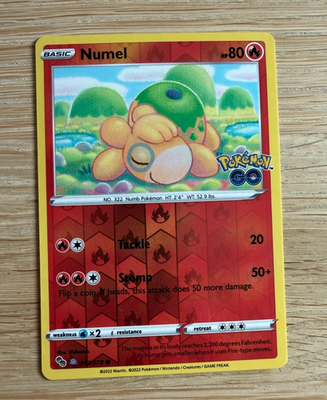 Numel Pokémon Go (DITTO) #13