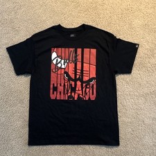 Chicago Bulls NBA Basketball Black  T Shirt L...