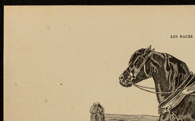 1882 - Cavallo Nero Inglese \u0026 Equitazione - Incisione Antica | eBay