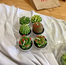 Lawei 18 Pack Cactus Tealight Candles -Handmade Delicate Succulent Mini Plan NEW