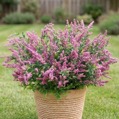 12 Pcs Fall Faux Dusty Plum Stem for Outdoor Artificial Purple Sedum Pick 14 ...