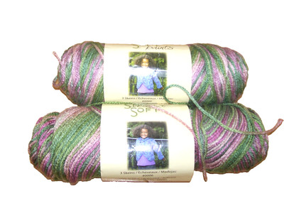 Lot of 2 Caron Simply Soft Paints Yarn Skeins Rose Garden 0006 Knitting Crochet