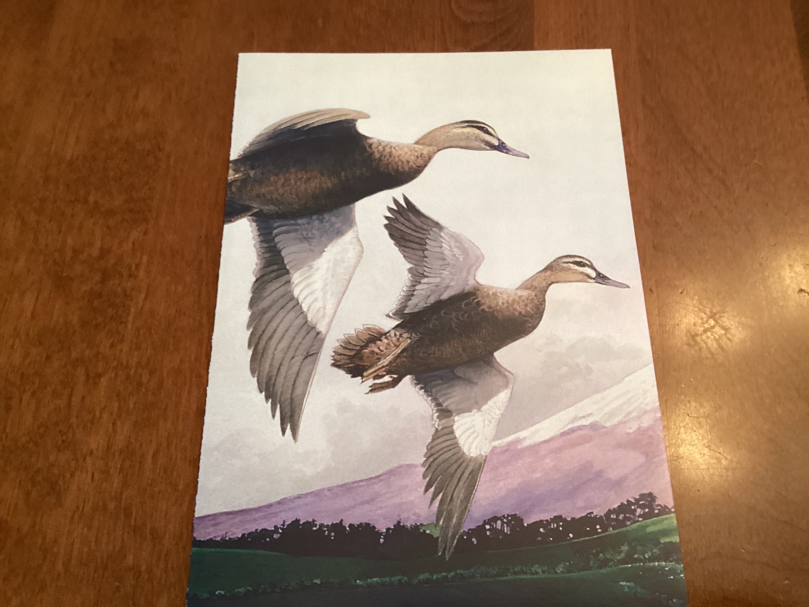 Picture 1