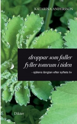 Andersson - Droppar som faller fyller tomrum i tiden - sjlens lngtan - X555z