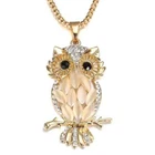 Women's Necklace Pendant Owl Gold Rhinestone Branch Celebration Gift Party Beach