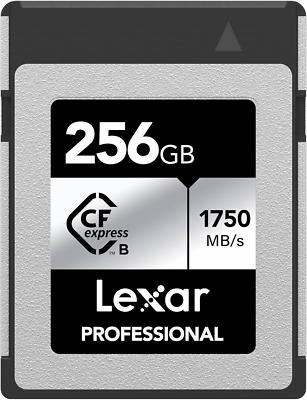 256GB Professional Cfexpress Type B Silver Series Memory Card, for