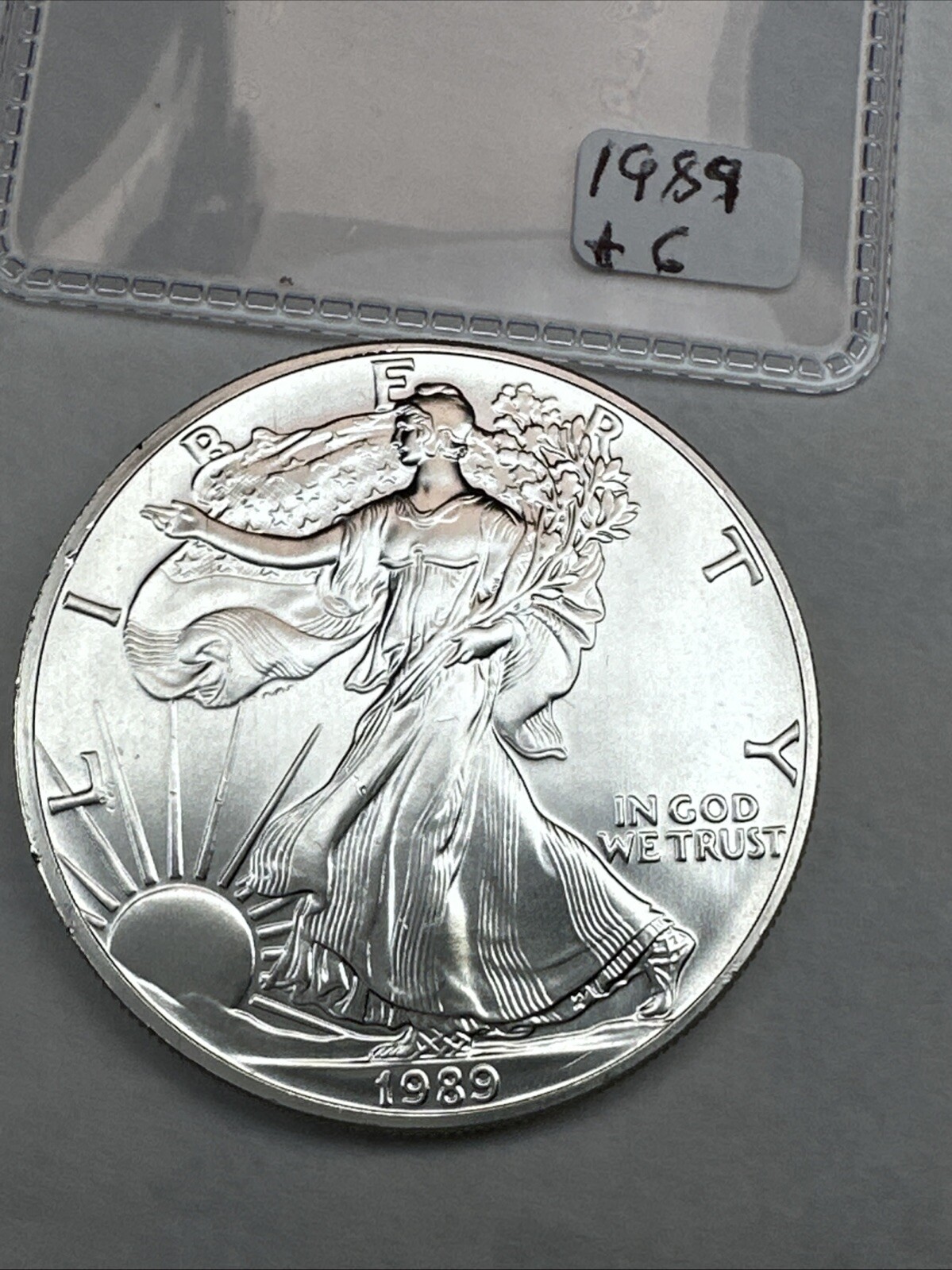 1989 American Silver Eagle Brilliant Uncirculated 1oz 0.999 Fine Silver