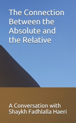 The Connection Between The Absolute And The Relative: A Conversation With S...
