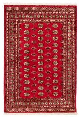 Hand Knotted Area Rug 5'8'' x 8'2'' Traditional Oriental Wool Carpet