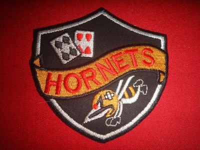 US Navy Attack Squadron VA-44 HORNETS Patch