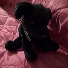 Ty Beanie Babies Luke Black Dog Plush 1998 Vintage DOB June 15 Ages 3-5 4-7